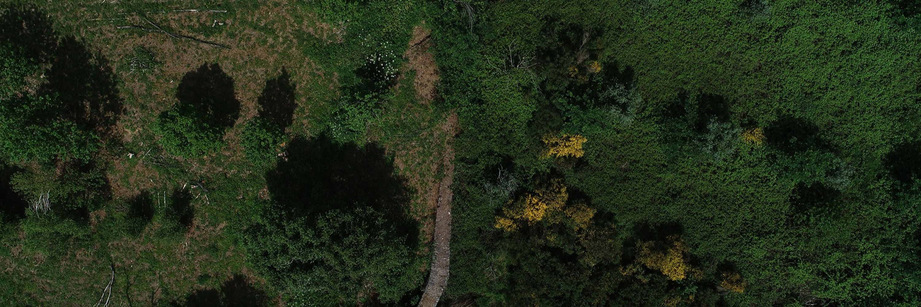 Hugo Permaculture