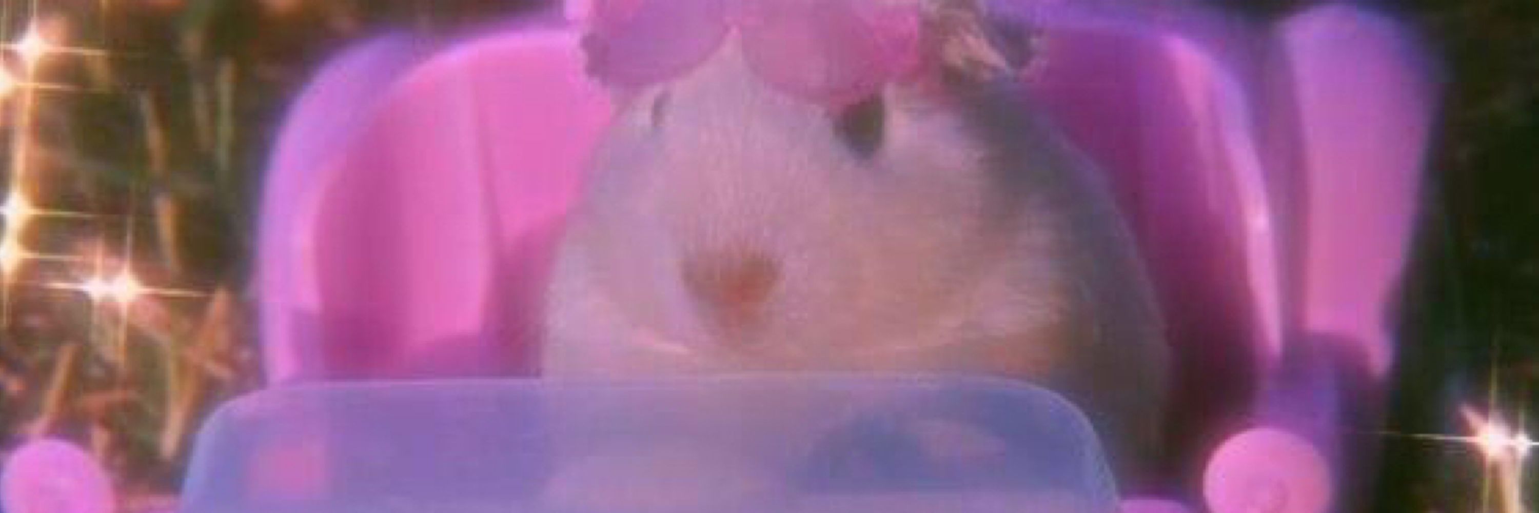 KC 🐹