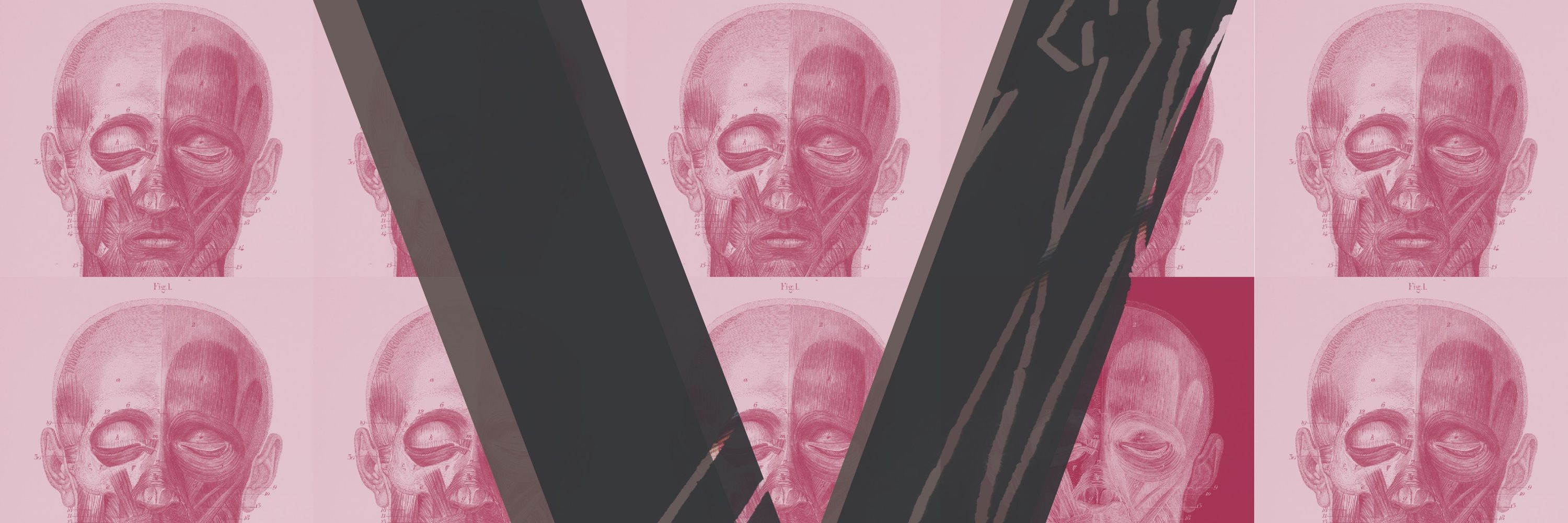 an_antman