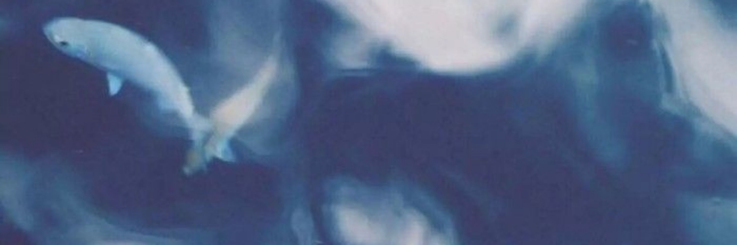  𝐯𝐢𝐡 |🌪