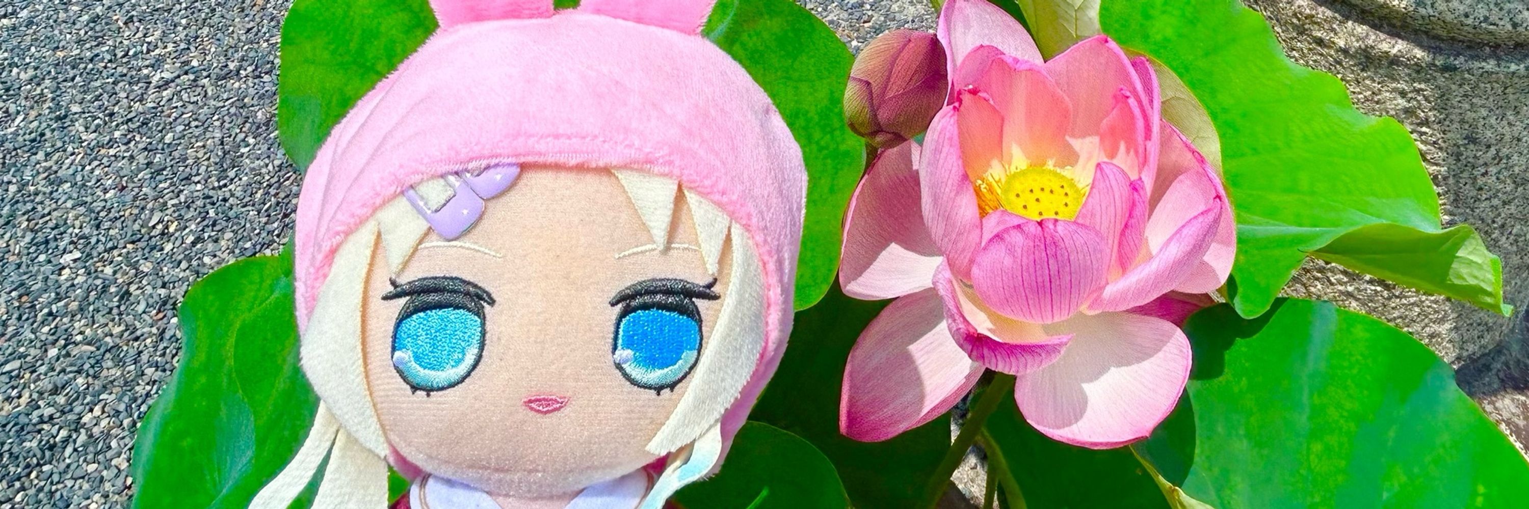 まきまき