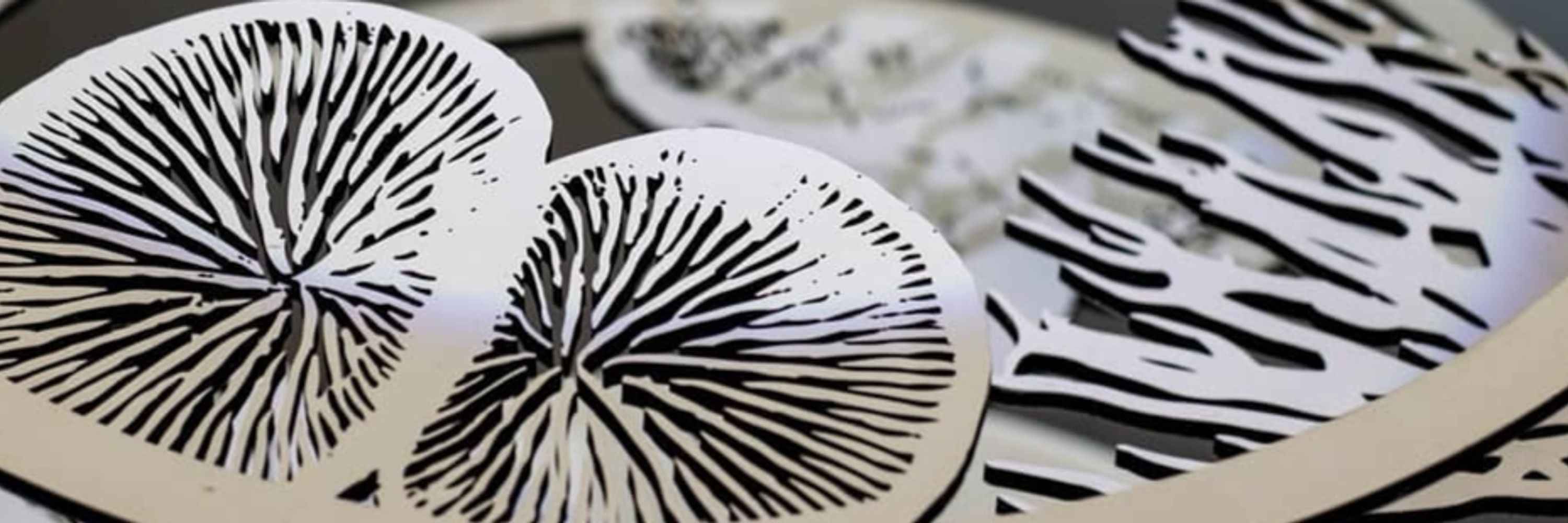 Bobbi Summers Design