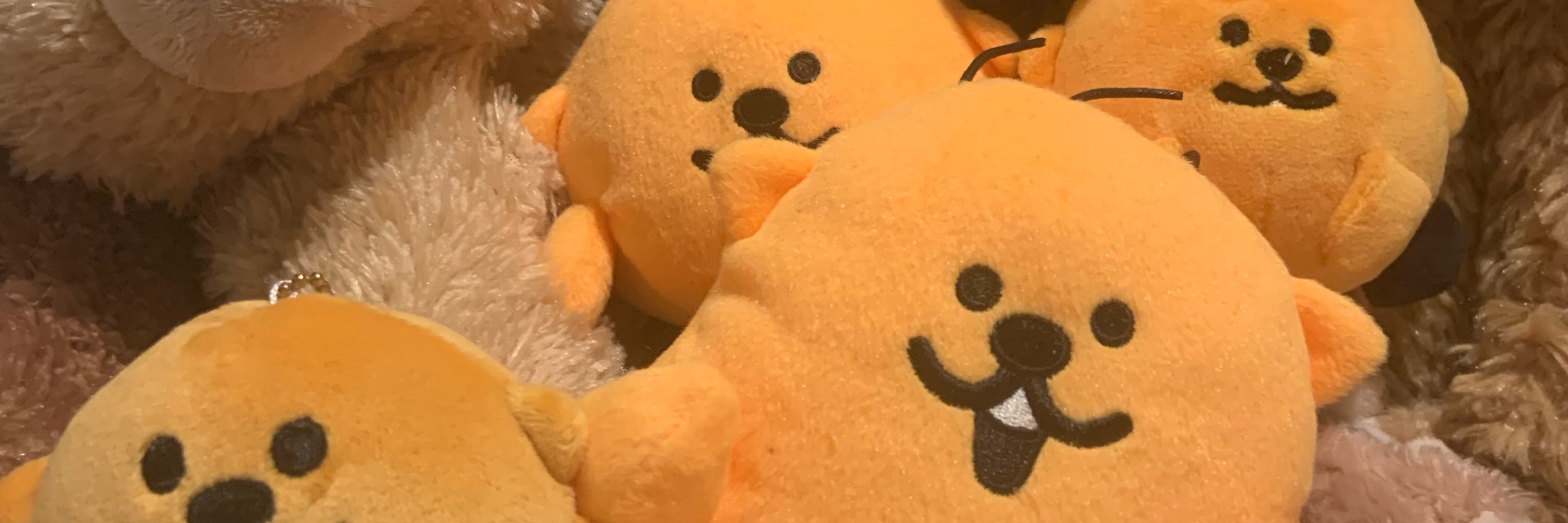 ﾊﾙｯﾍﾟ