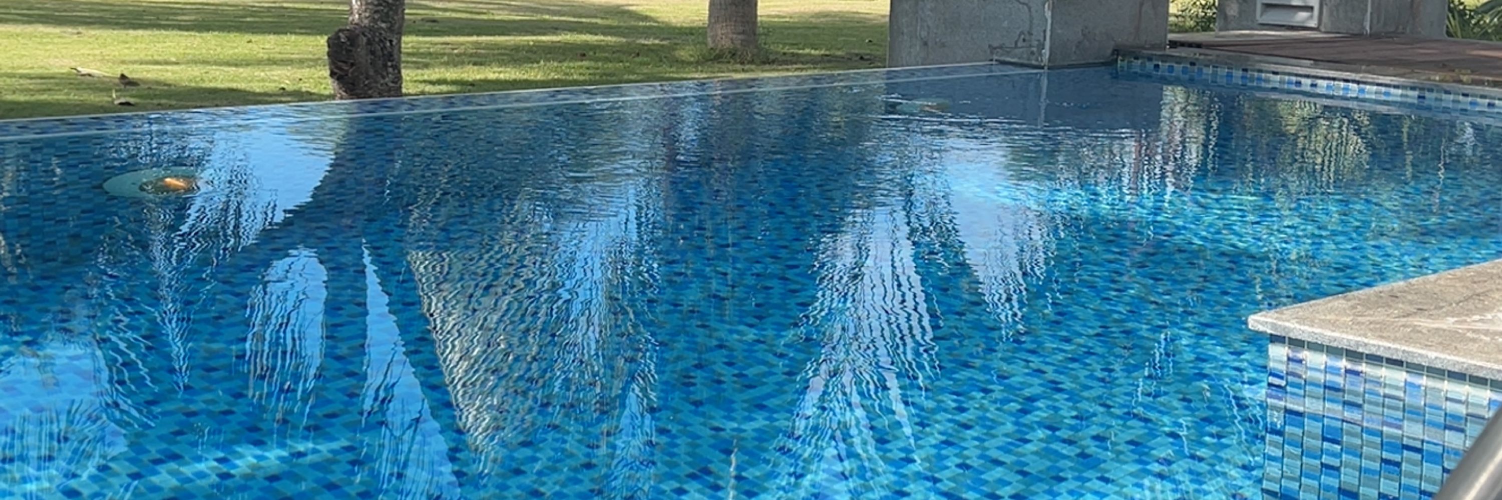 Nghi Dang