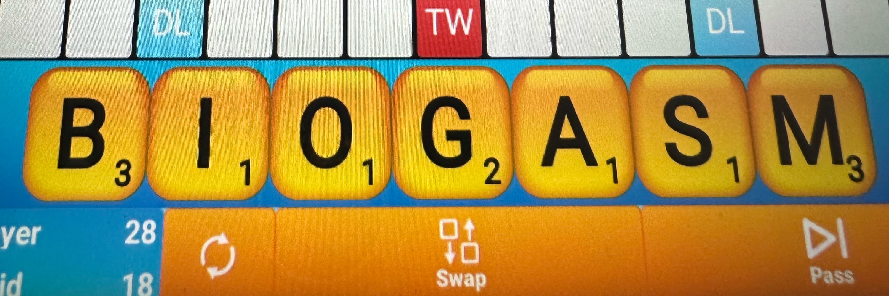 Zia G.