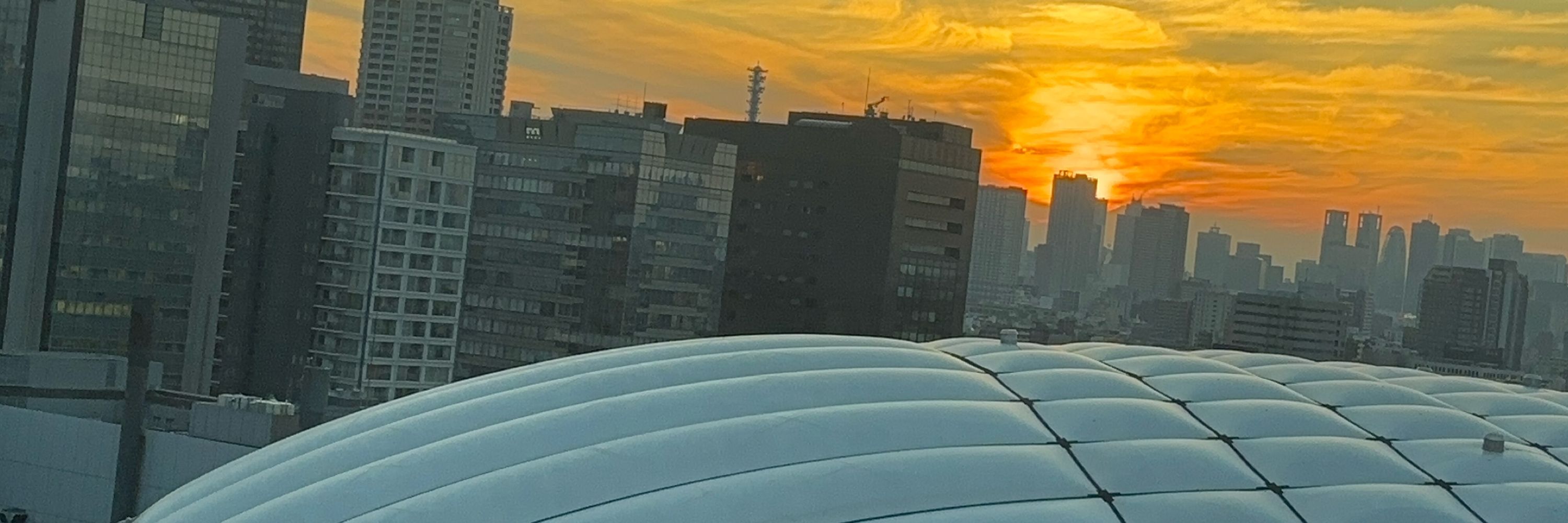 ぱぴこ