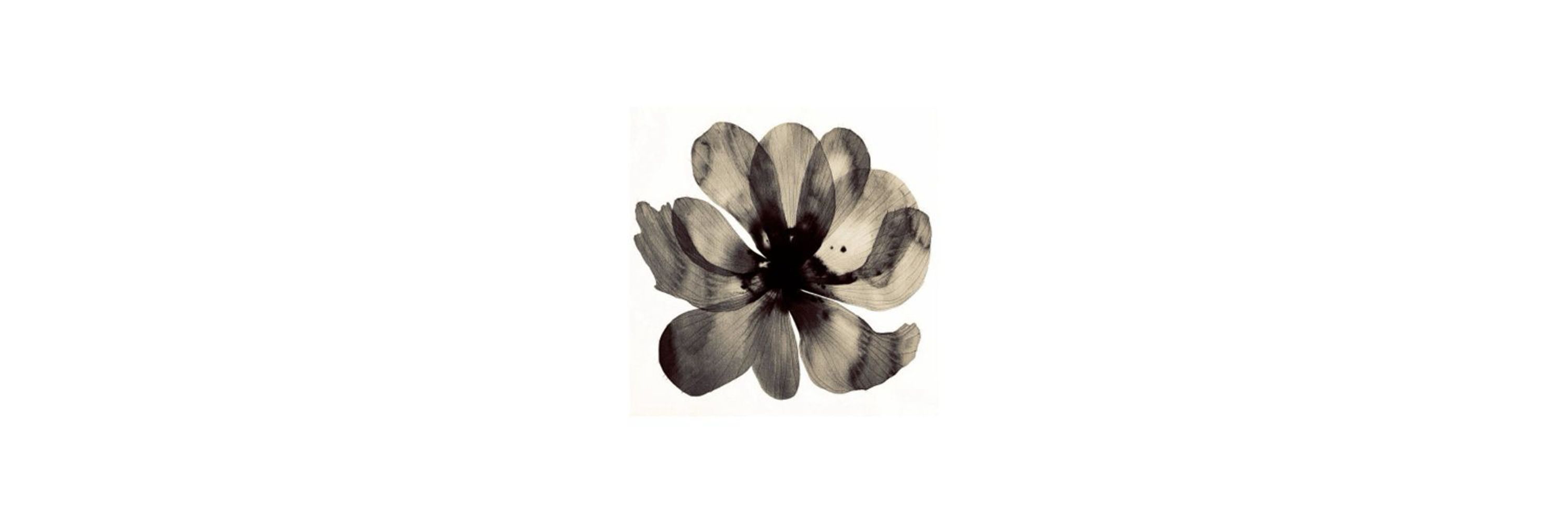 𝒸 𝒶 𝓁 𝓁 𝒾 𝑒 💮