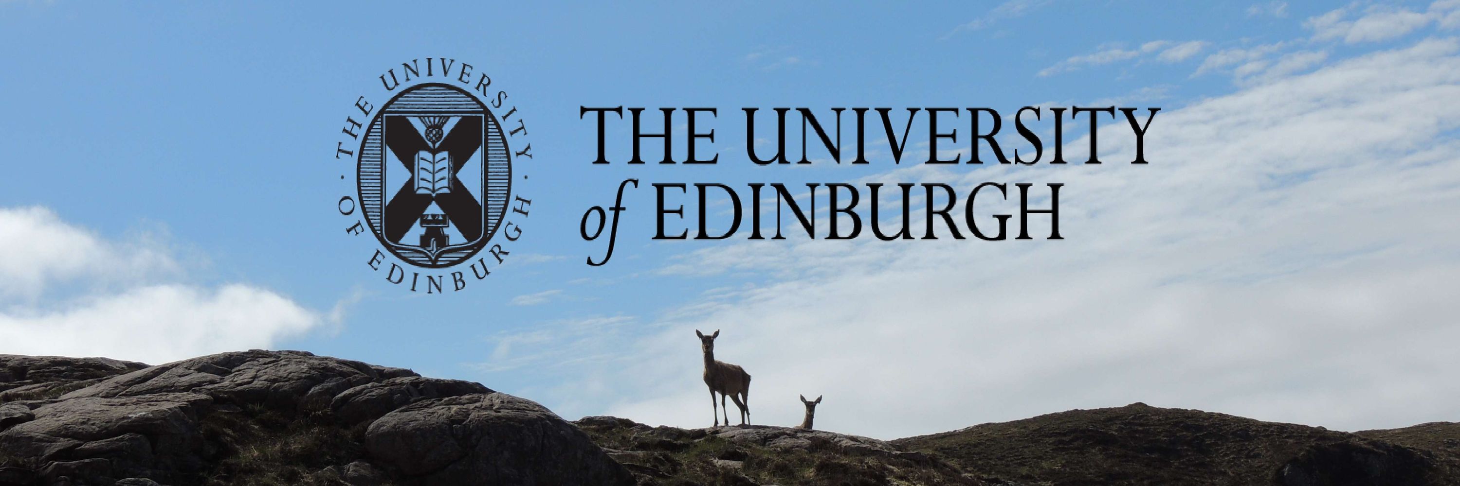 Rum Deer Research