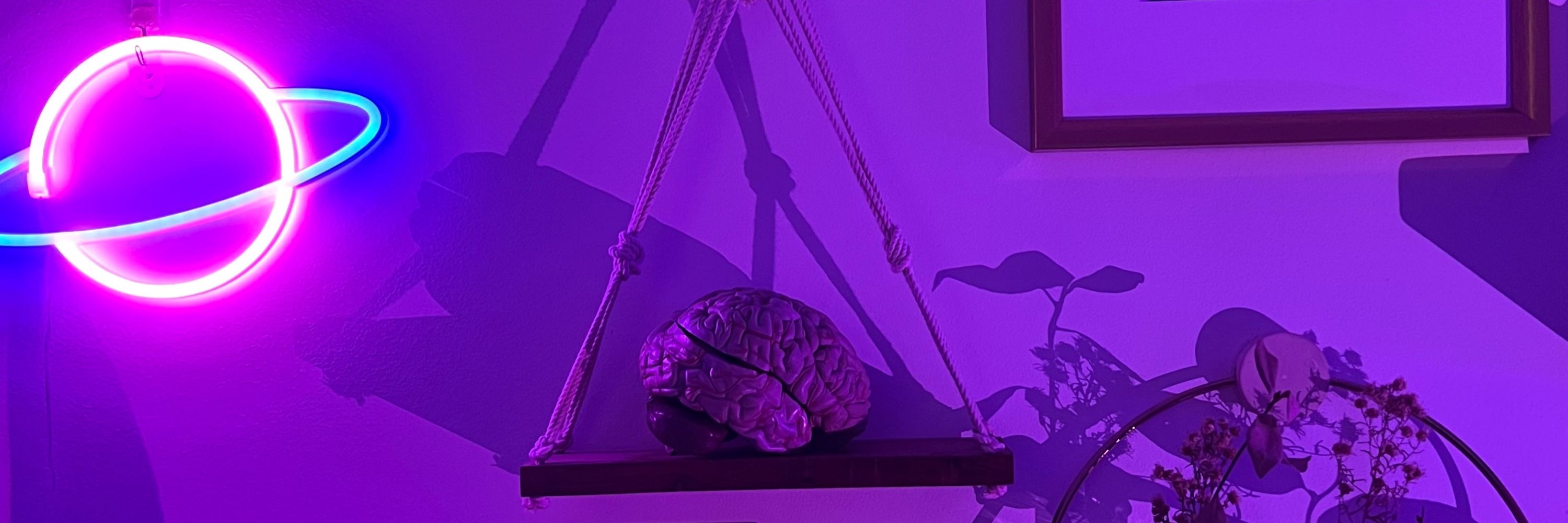 Science Sam