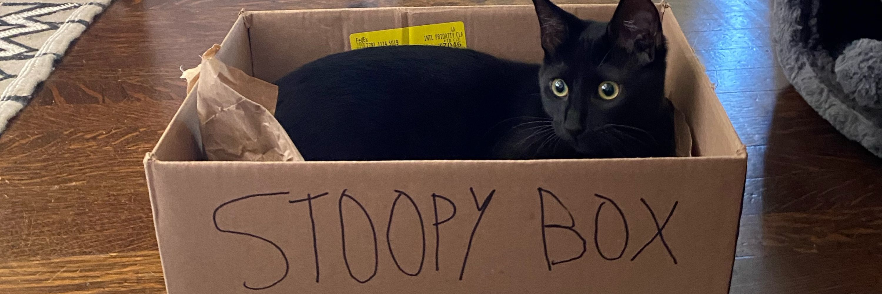 Trash, Esq.