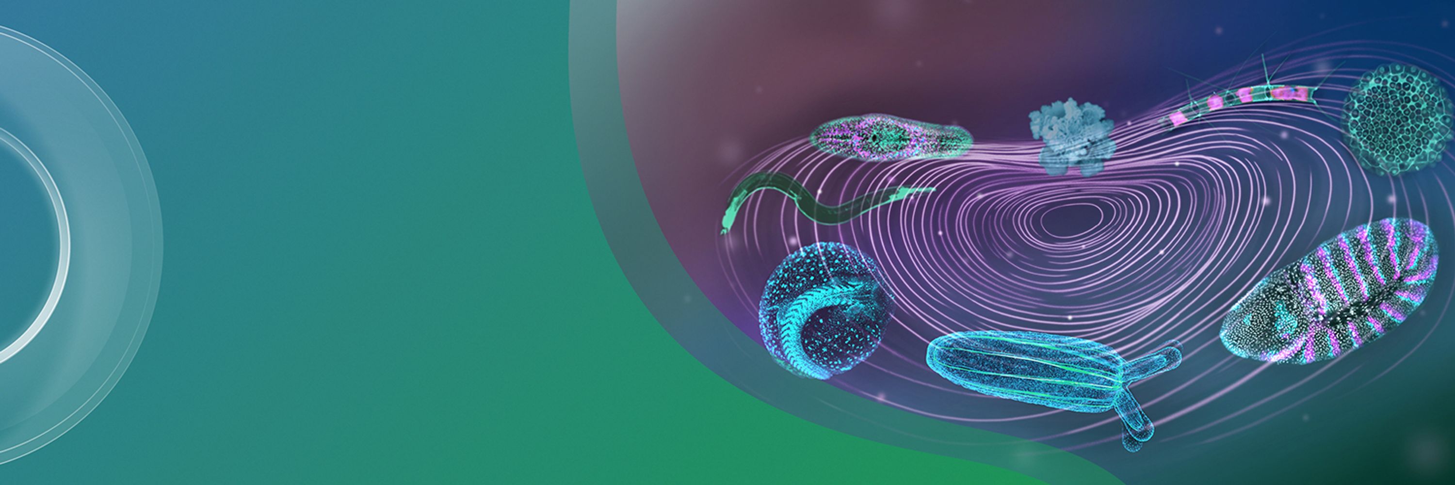 EMBL DB unit