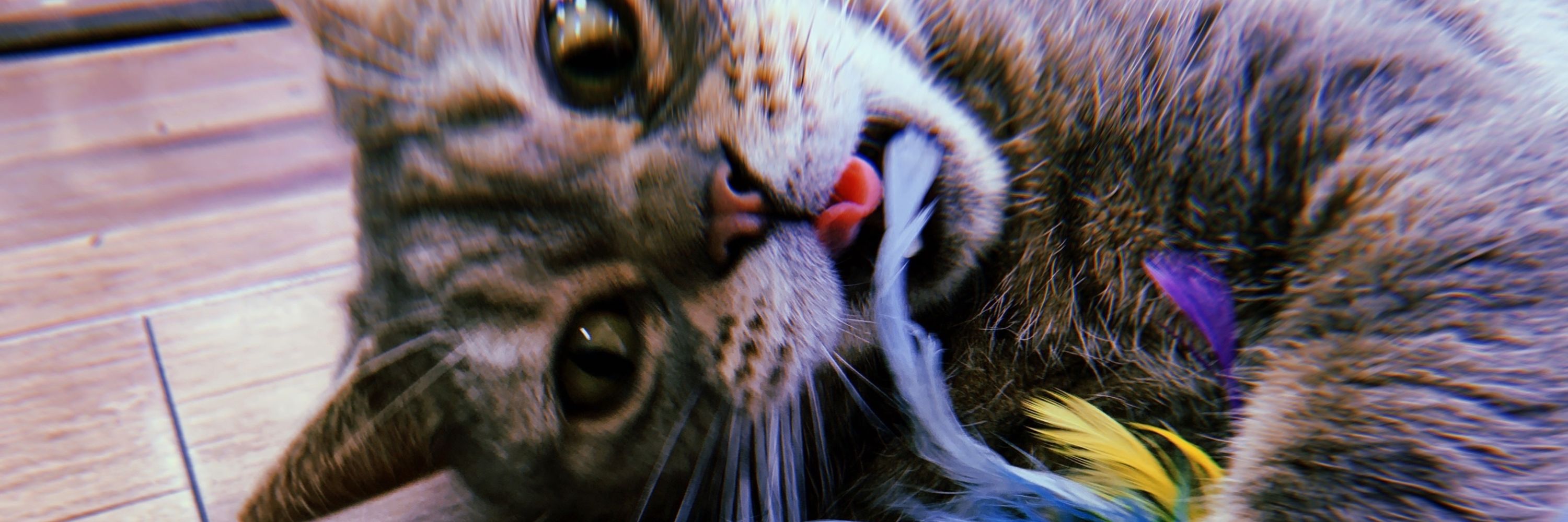 ＴΛＫΛＹＵＫＩ