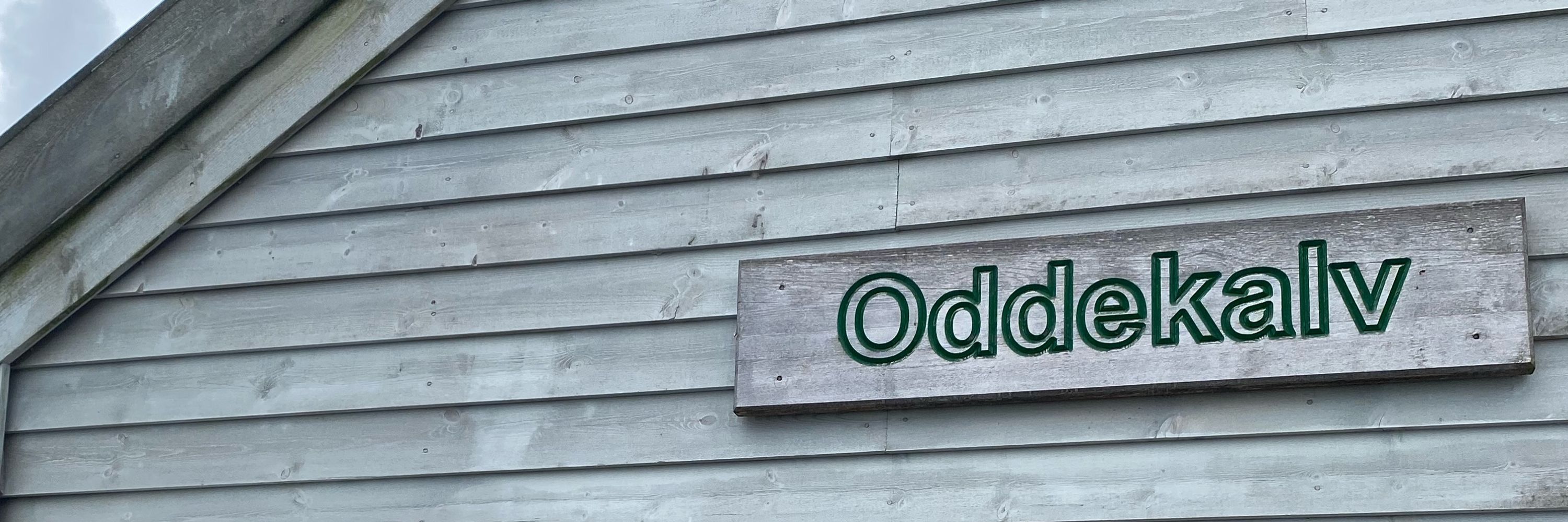 LineLOddekalv