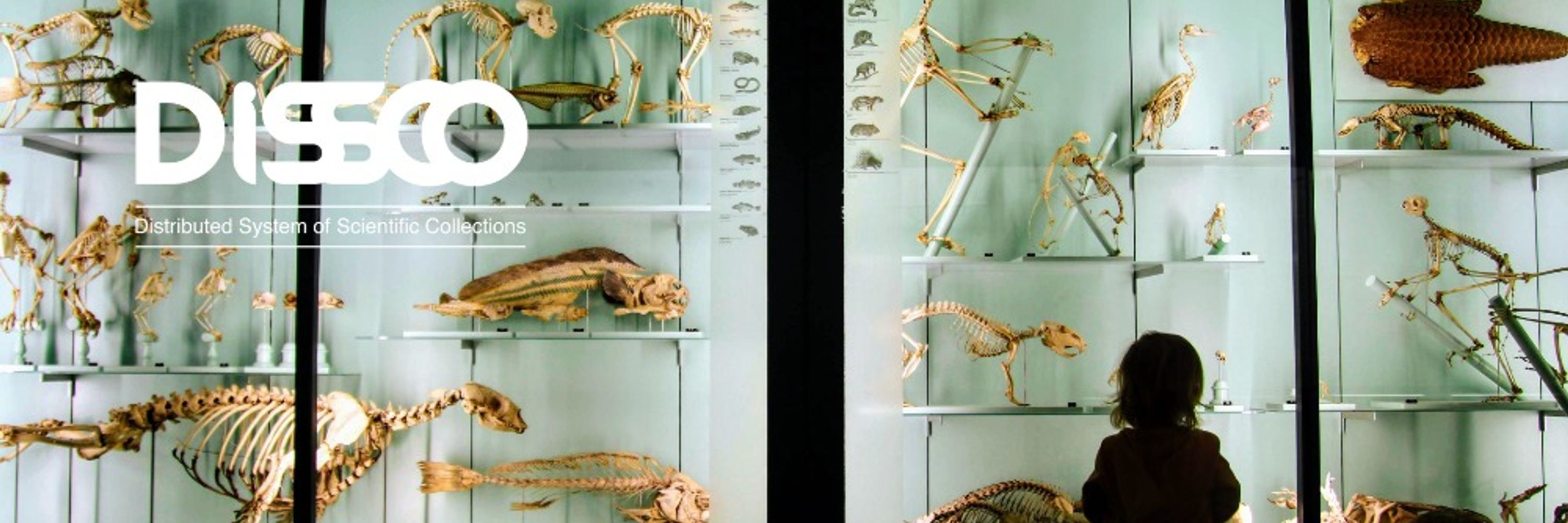 Distributed System of Scientific Collections