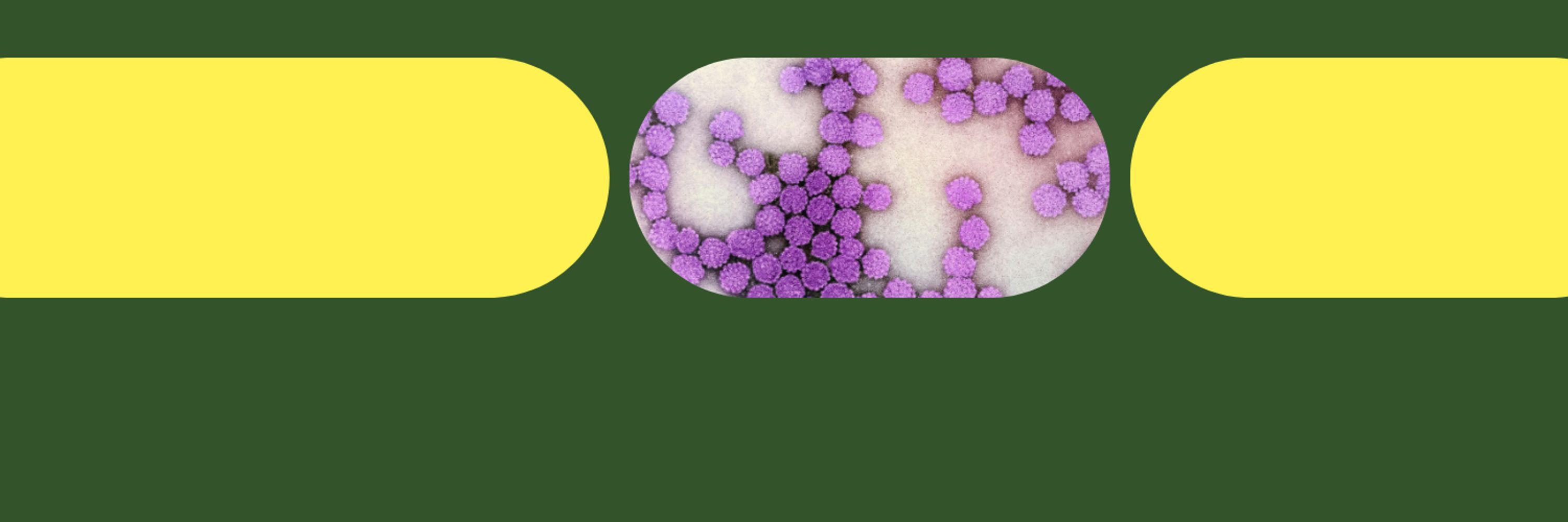 The Journal of Infectious Diseases