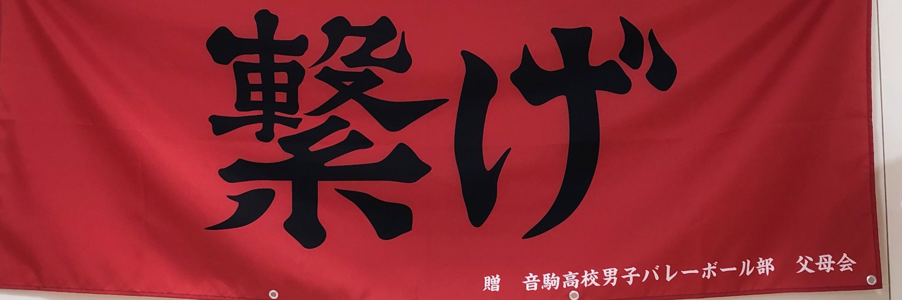 歌う紅黒狐🦊⛩ ¿۞（´･ω･`:;.:...∵呪 避難所