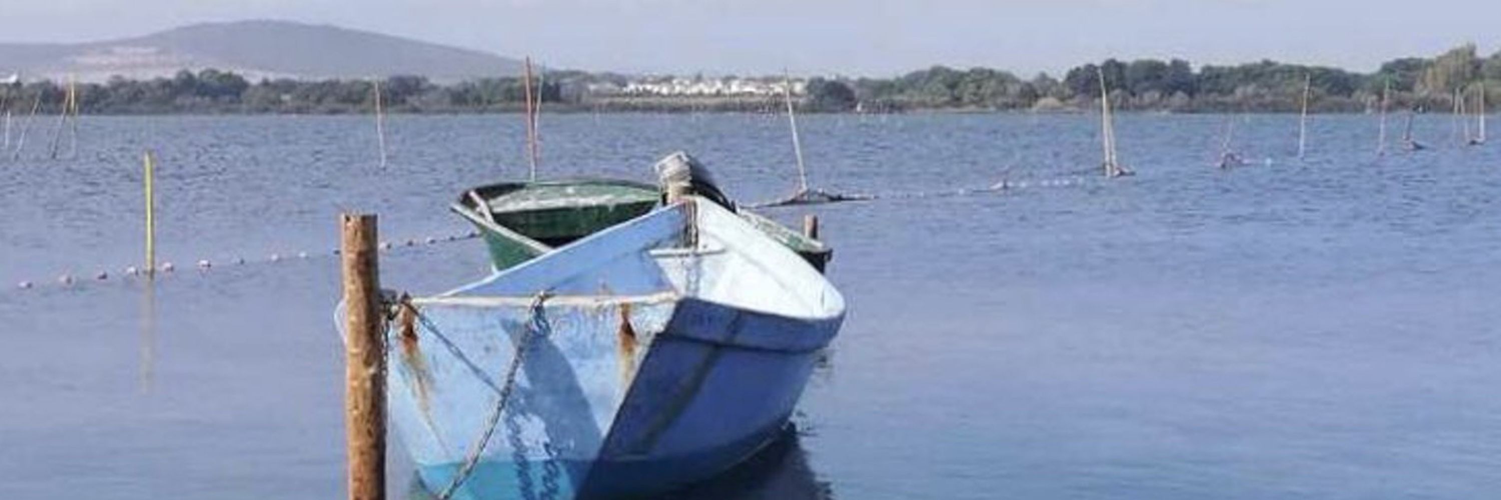 LM_Morvan