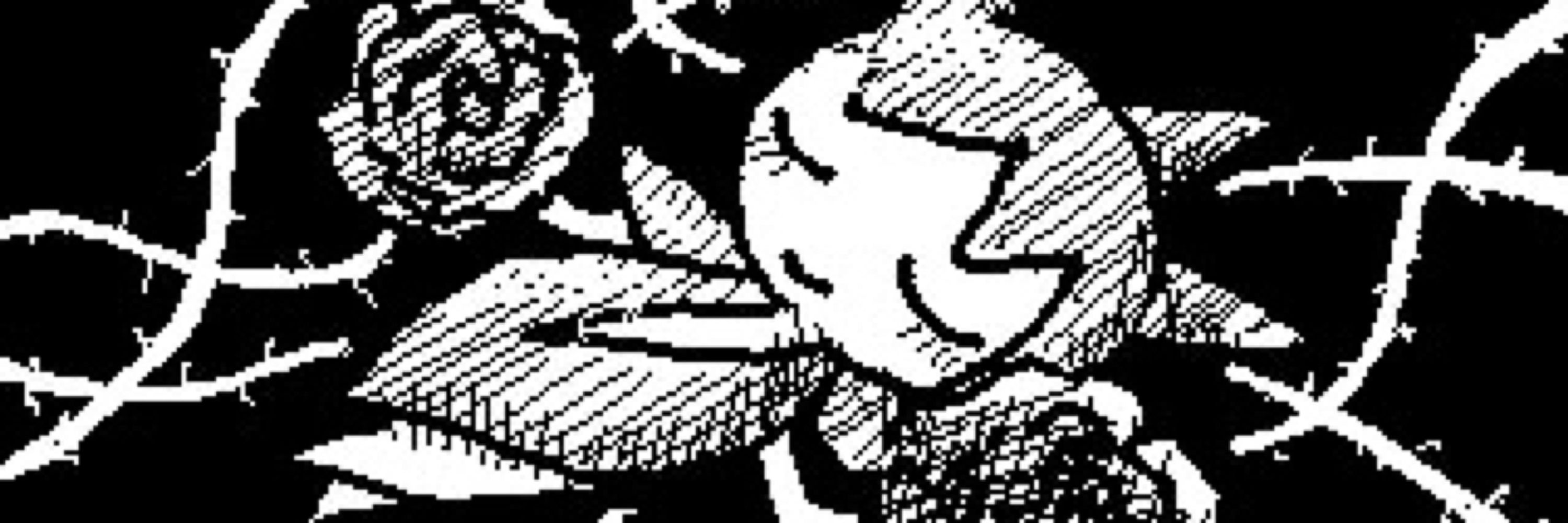 Seabass