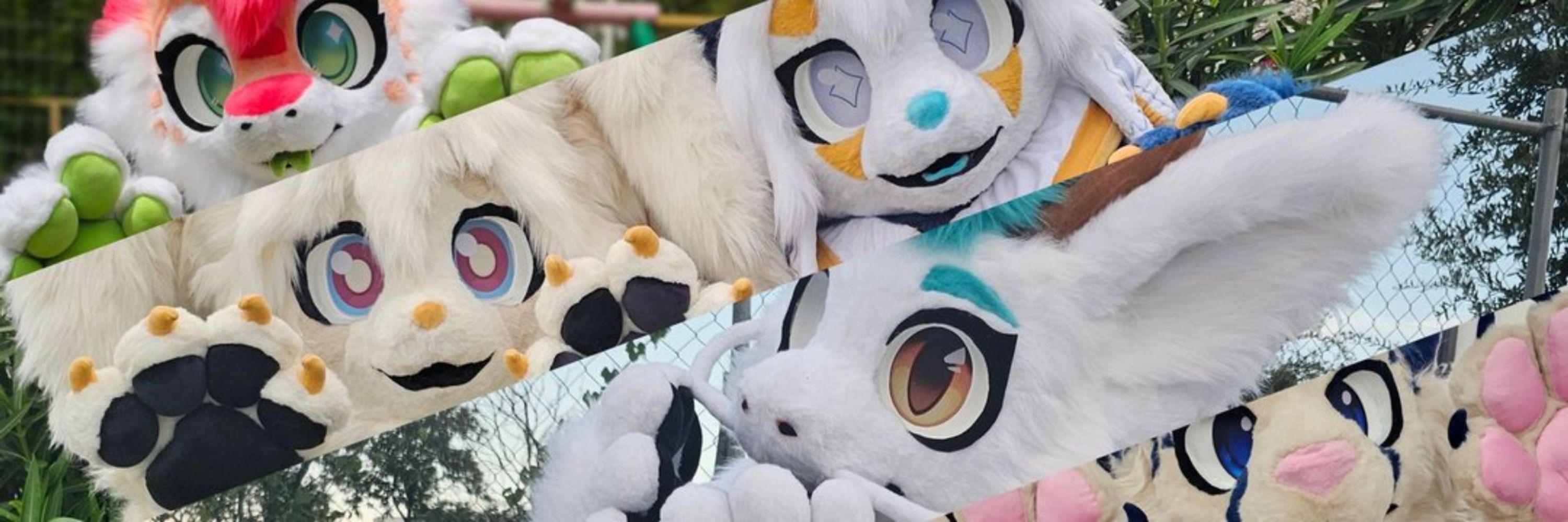 🐱 Okaeri Studios 🐱
