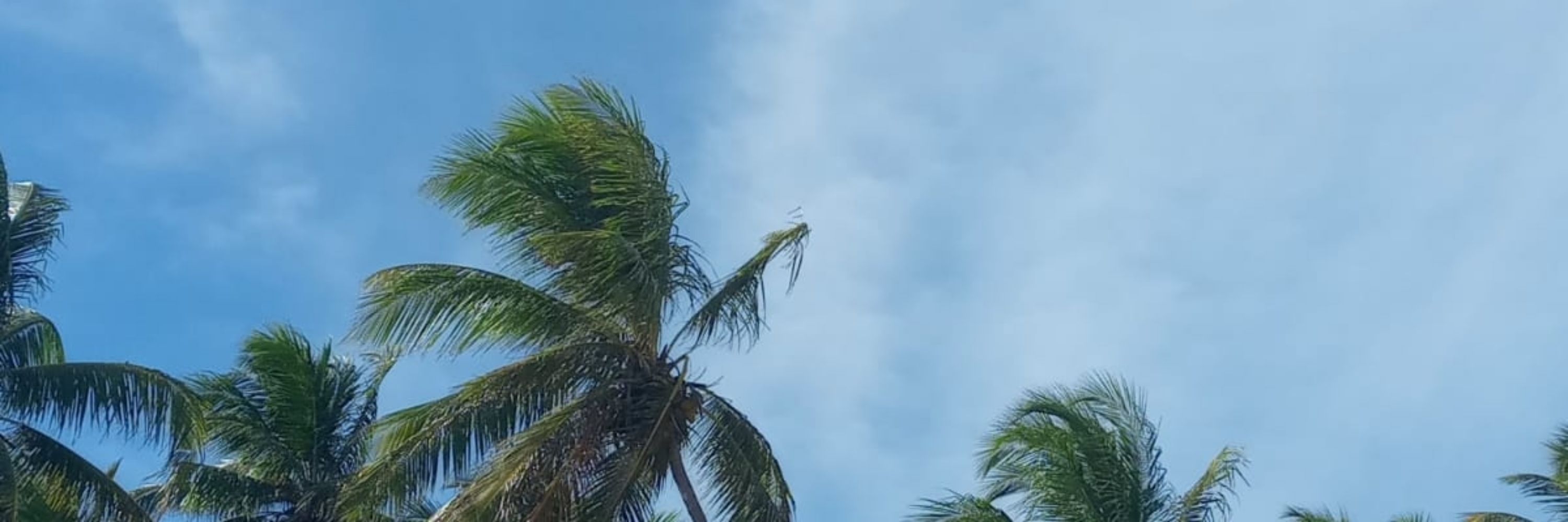 ☀️