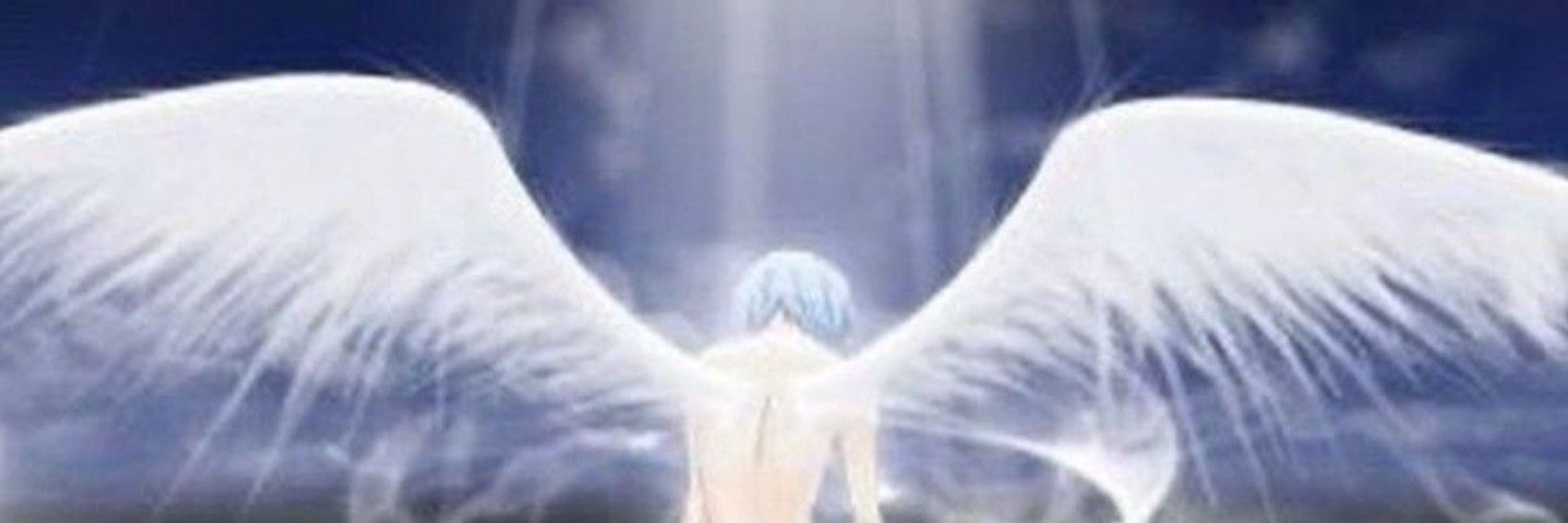 MEMENTO VIVERE