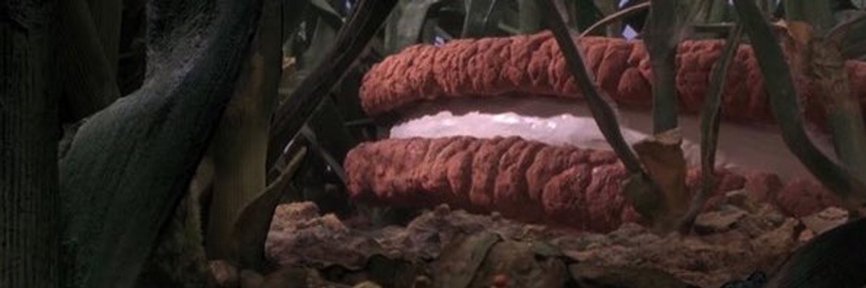 Hot Dog Wiener