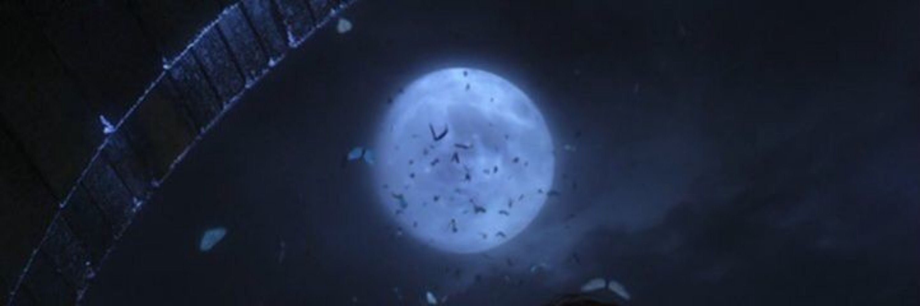 freya VIU O DREAMCATCHER 