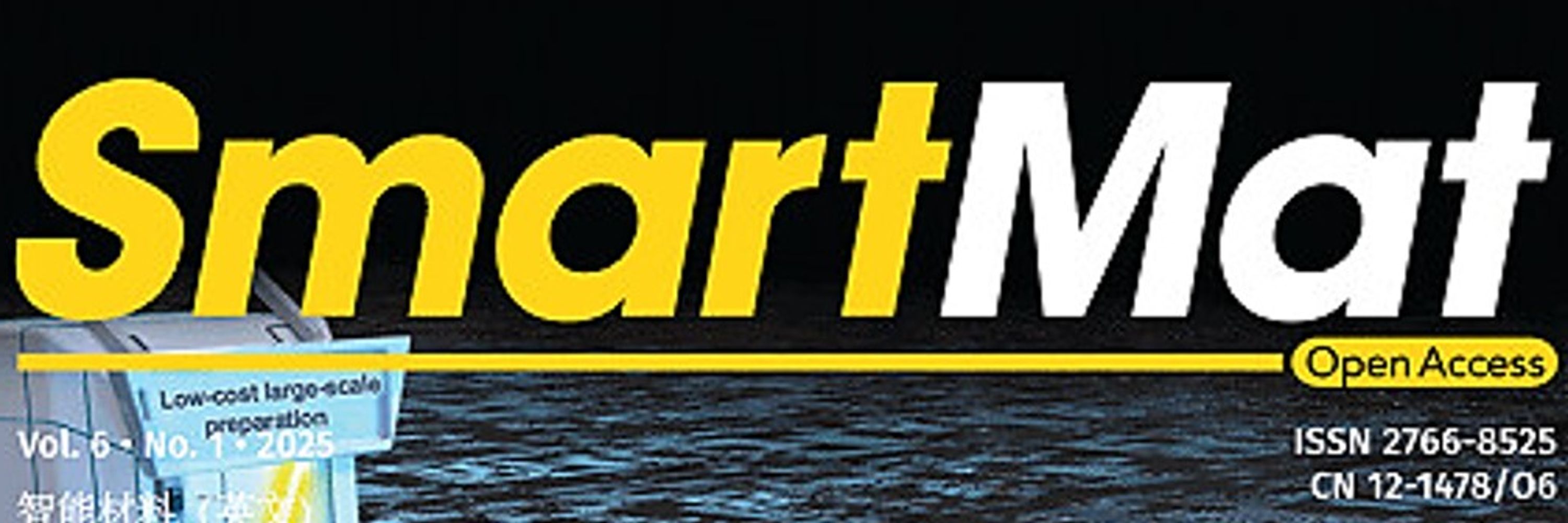 SmartMat
