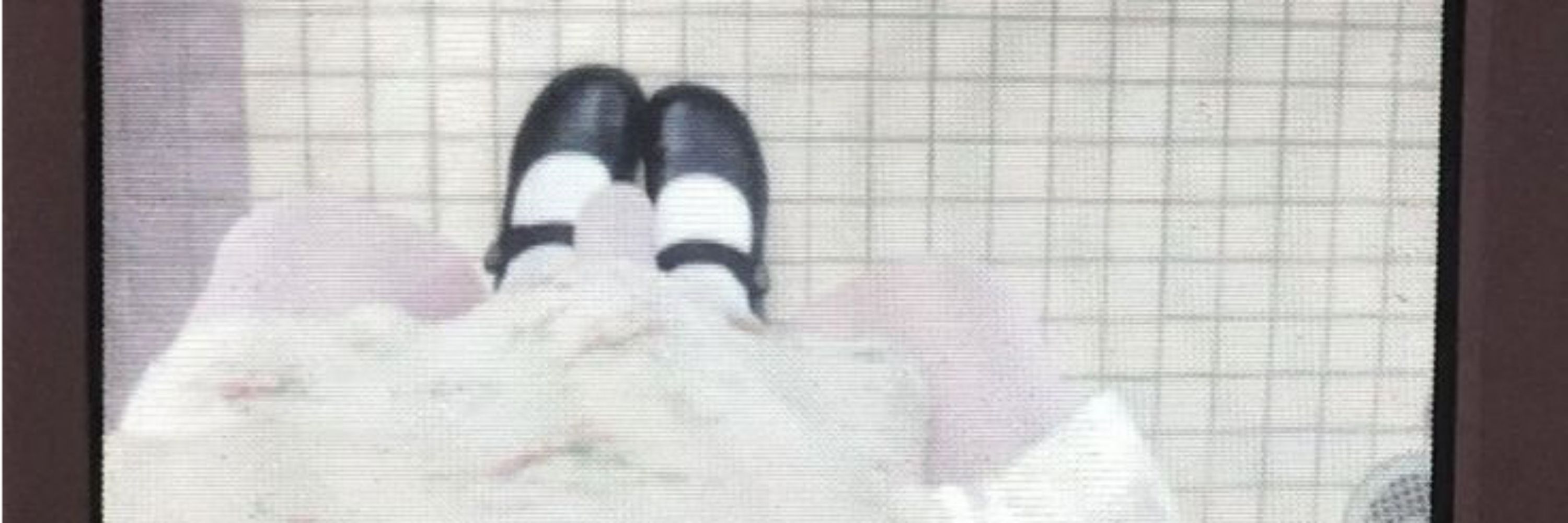 mαrıα. <3