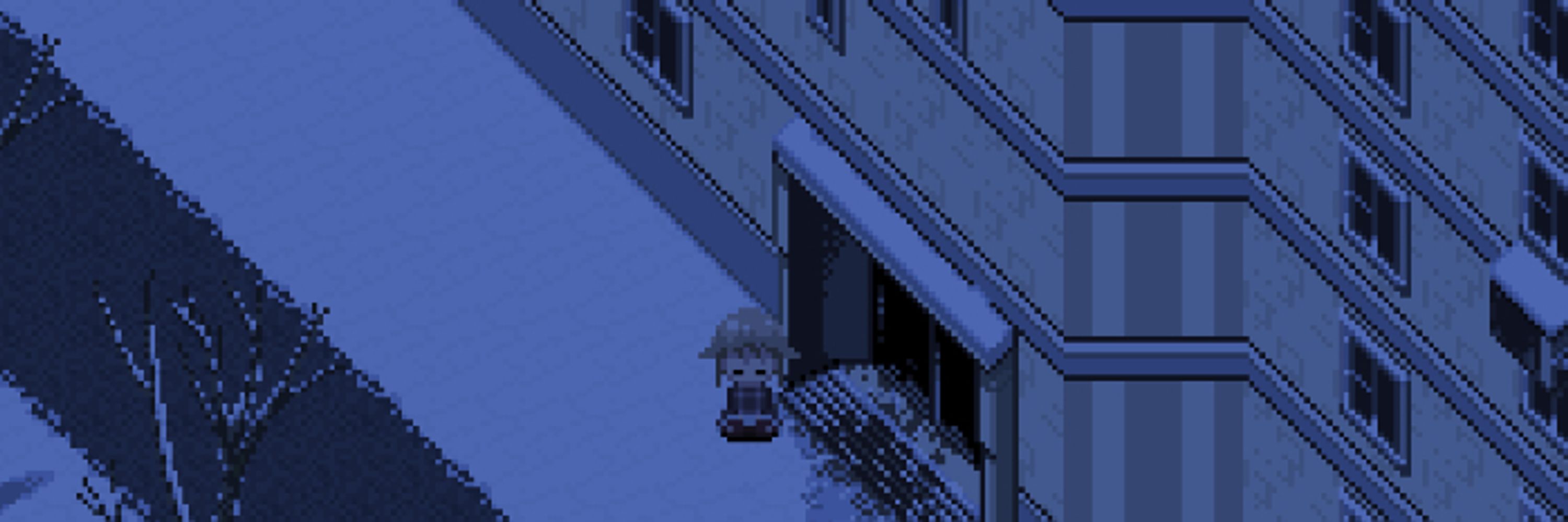 ひ​ま​わ​り​画​像