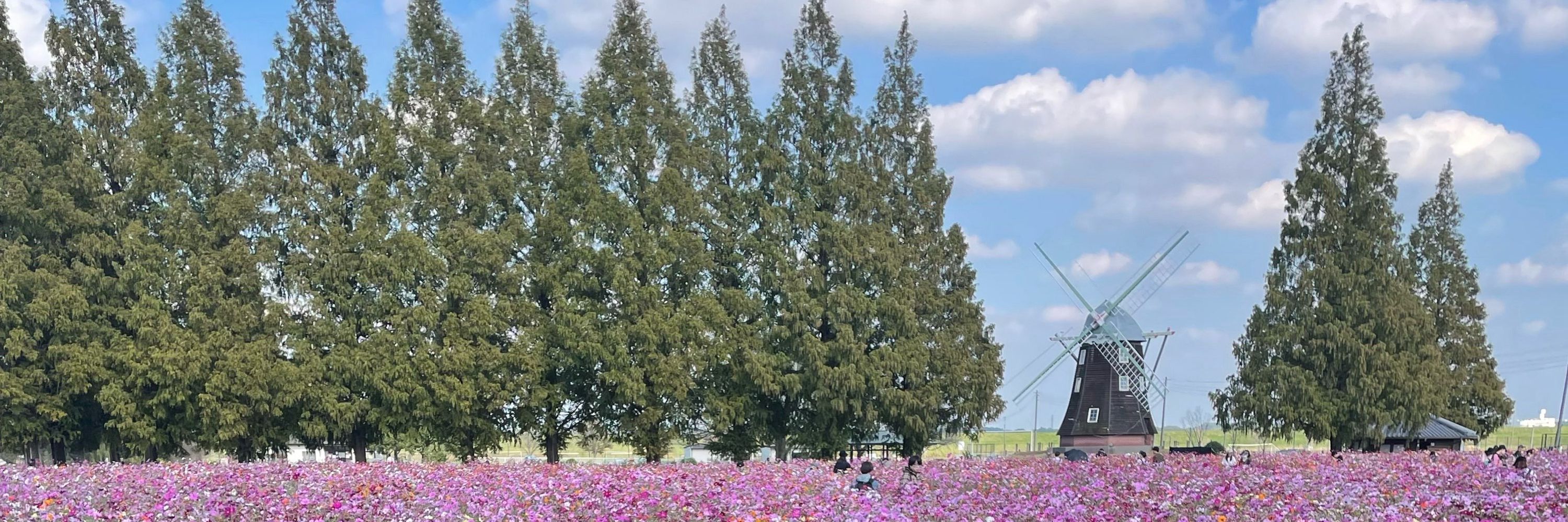 かたわらに。