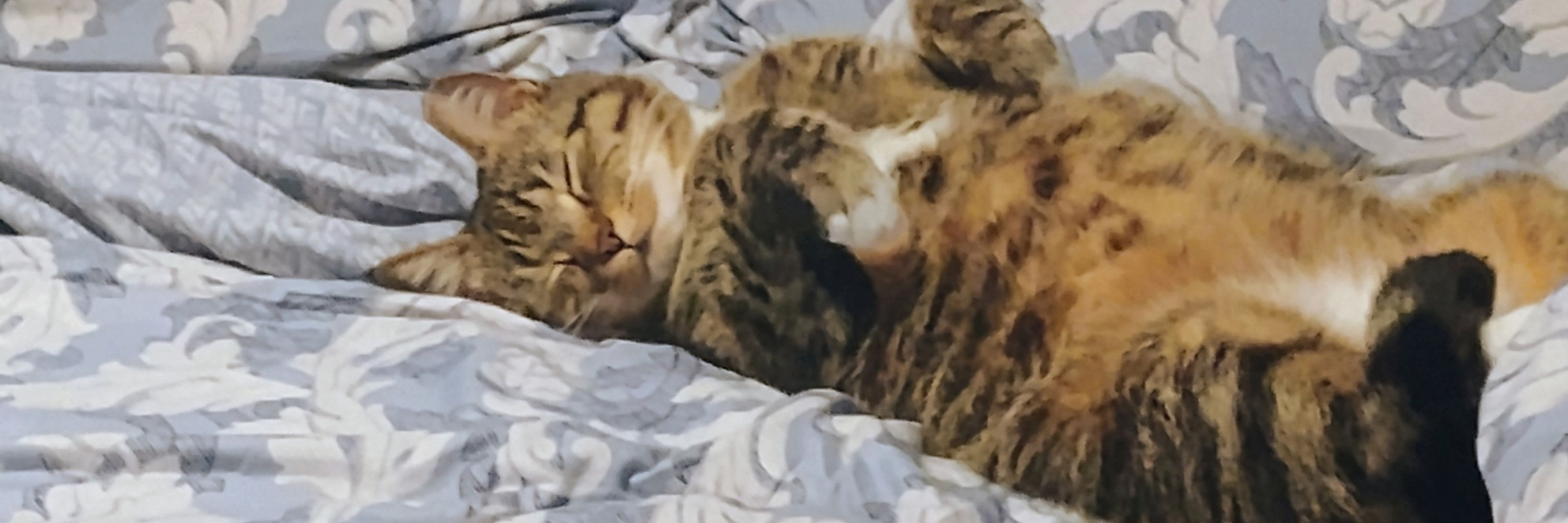 Catherine