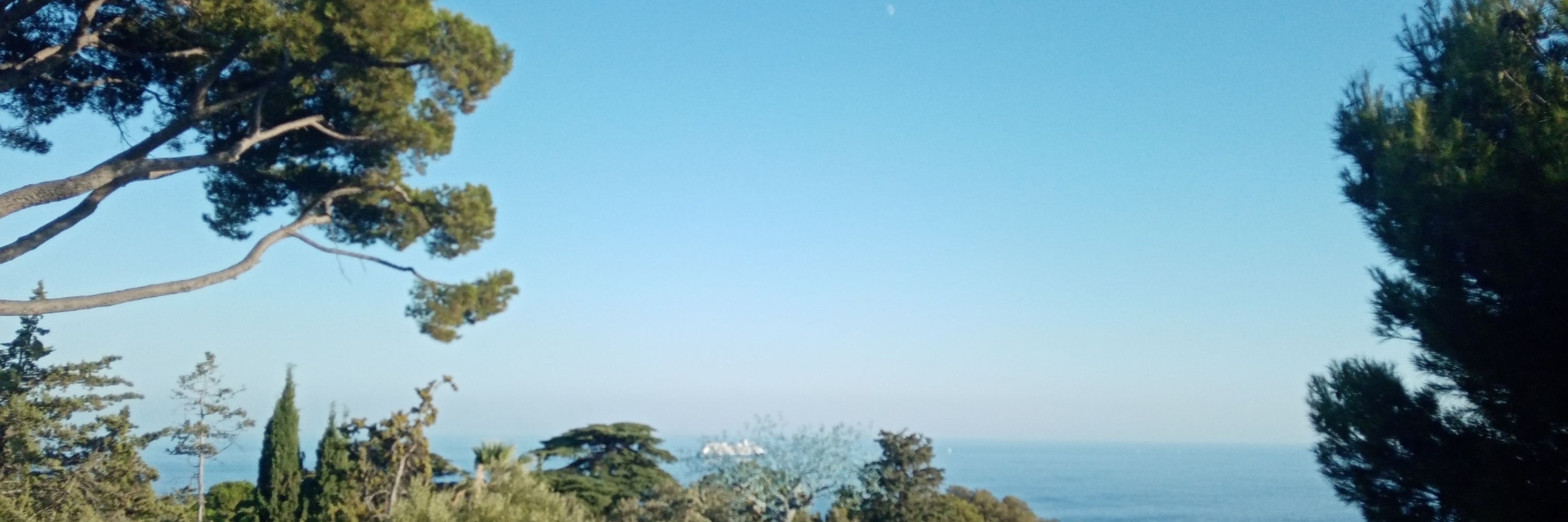 EBB