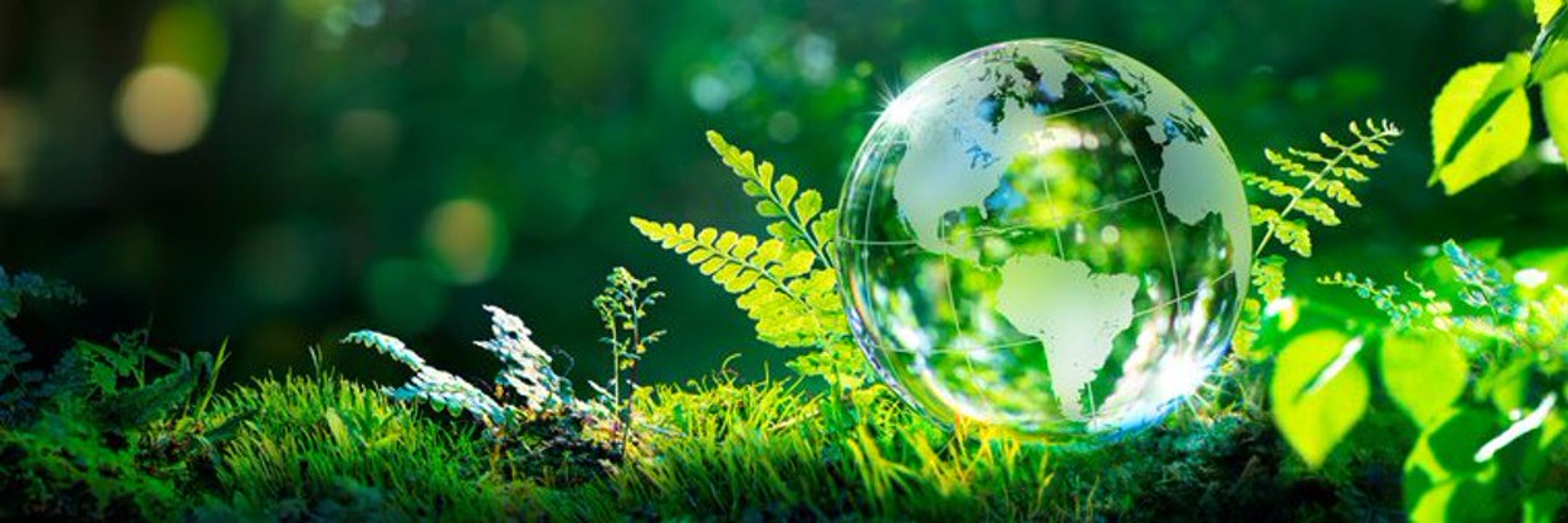 Coalition of Trade Ministers on Climate