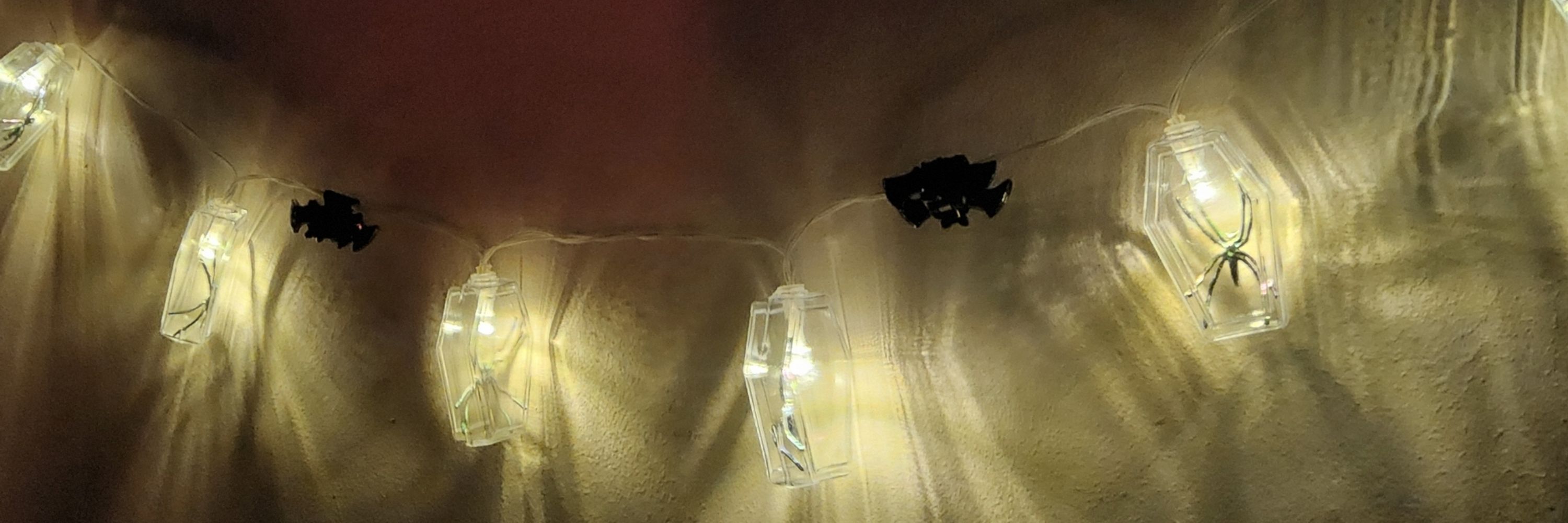 ~🦇