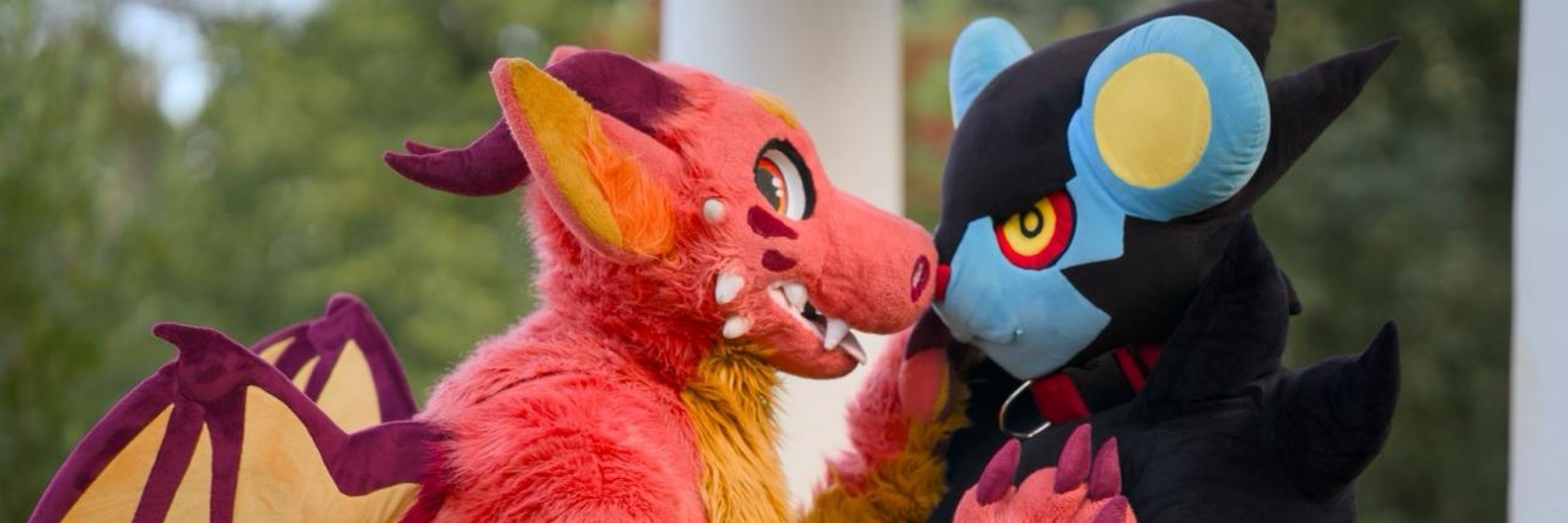 Draz 🐲 🔜 FWA
