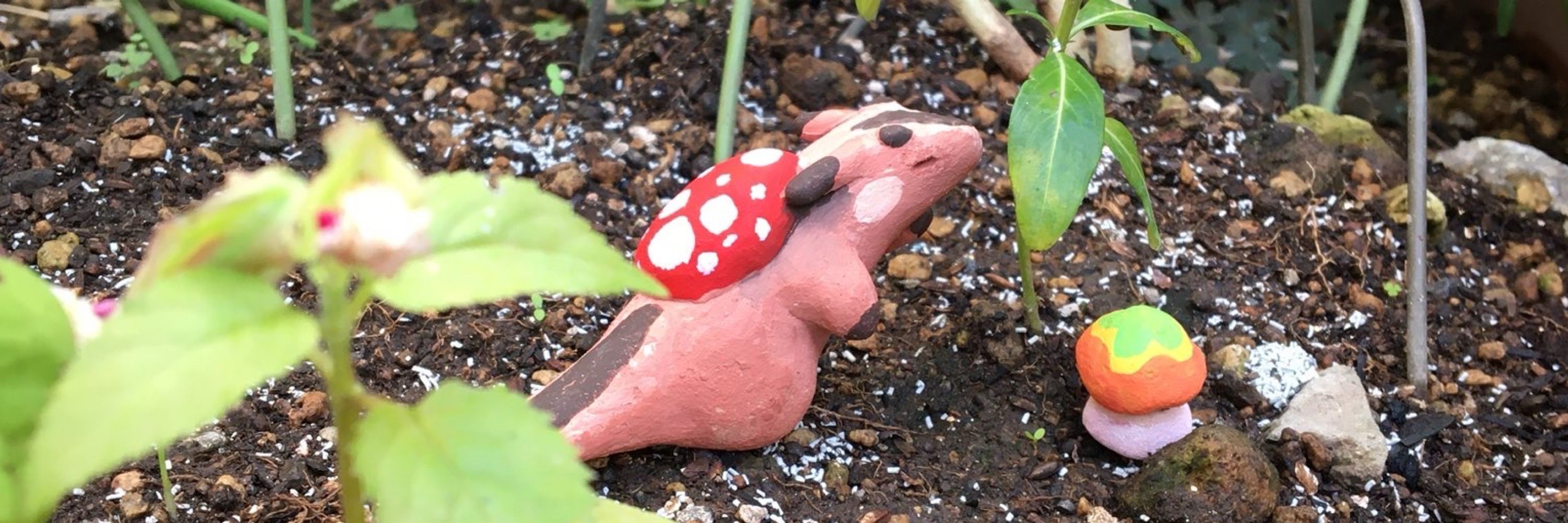 いぬ🐾