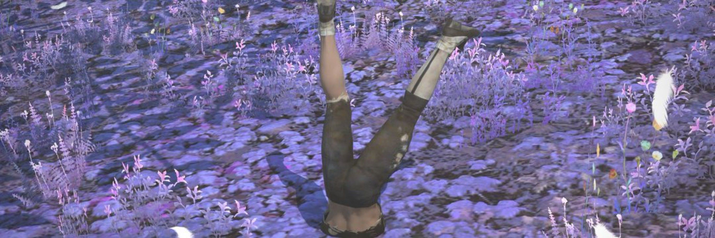 Aster The Dragoon