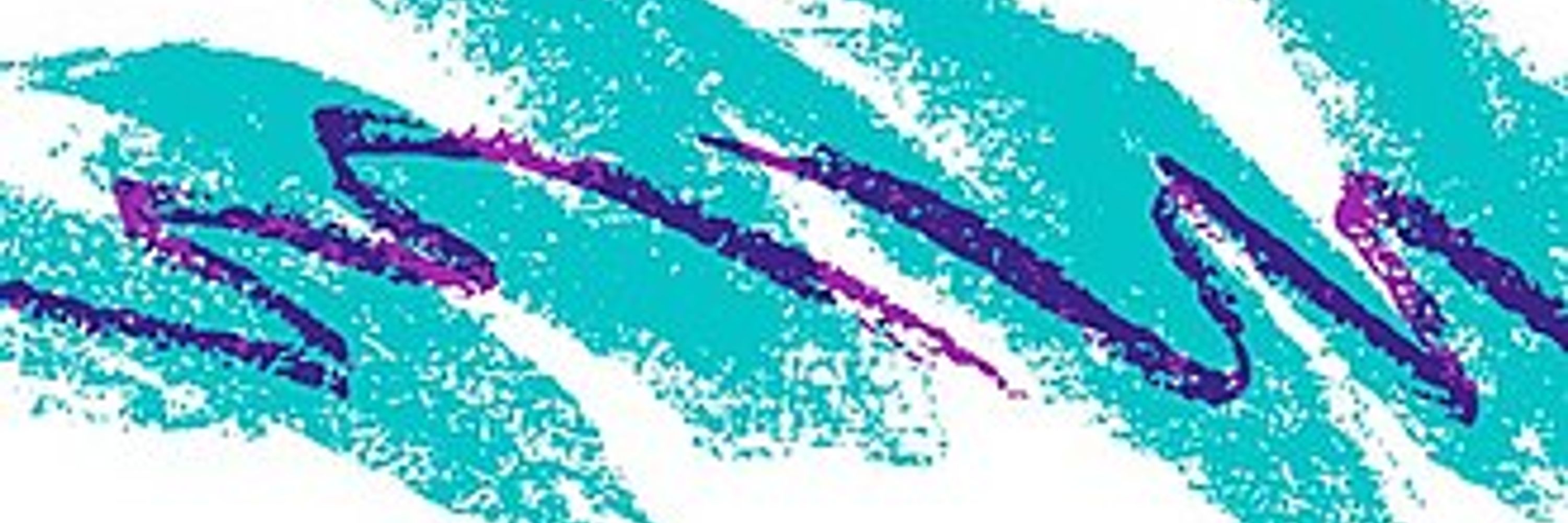 ReferenceMaker