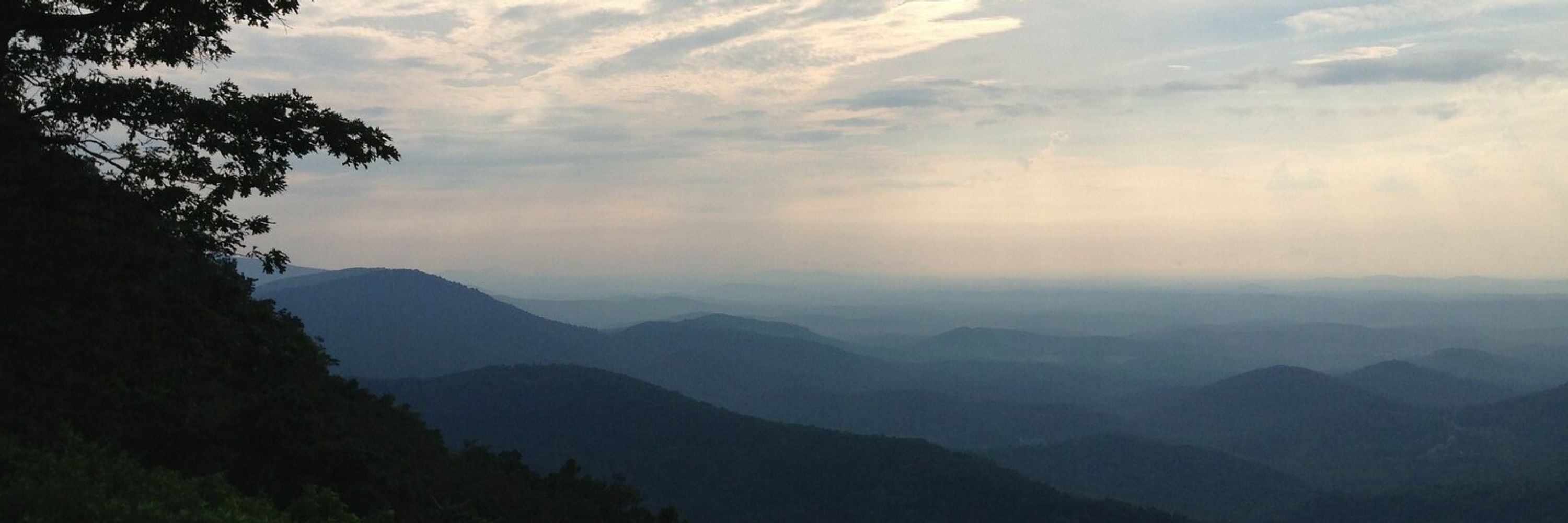 Vile Virginia