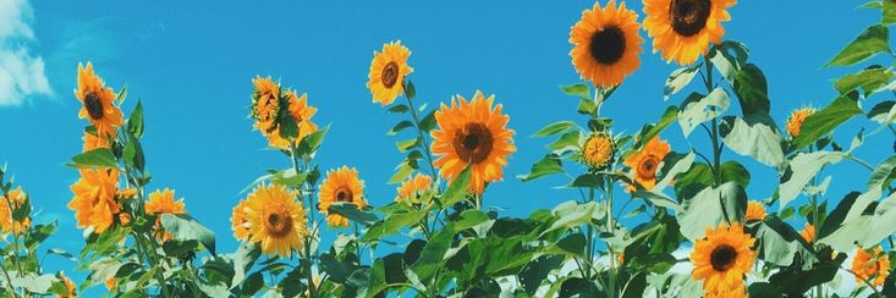 Juão☀️