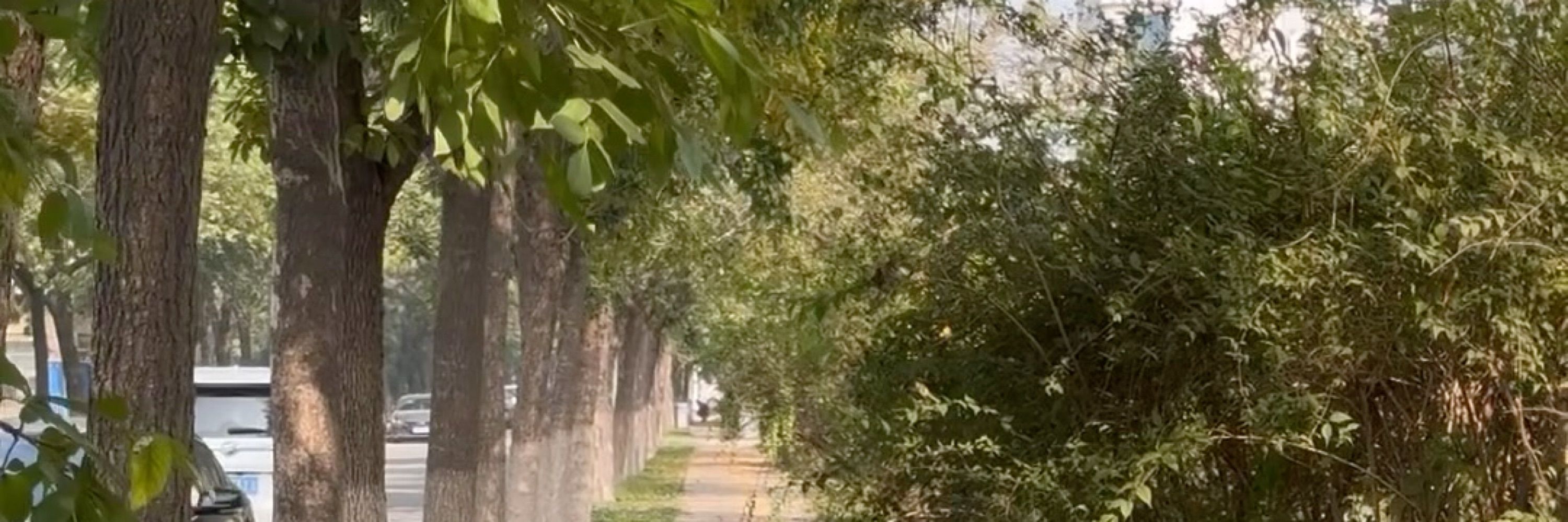 我是熙蜀黍