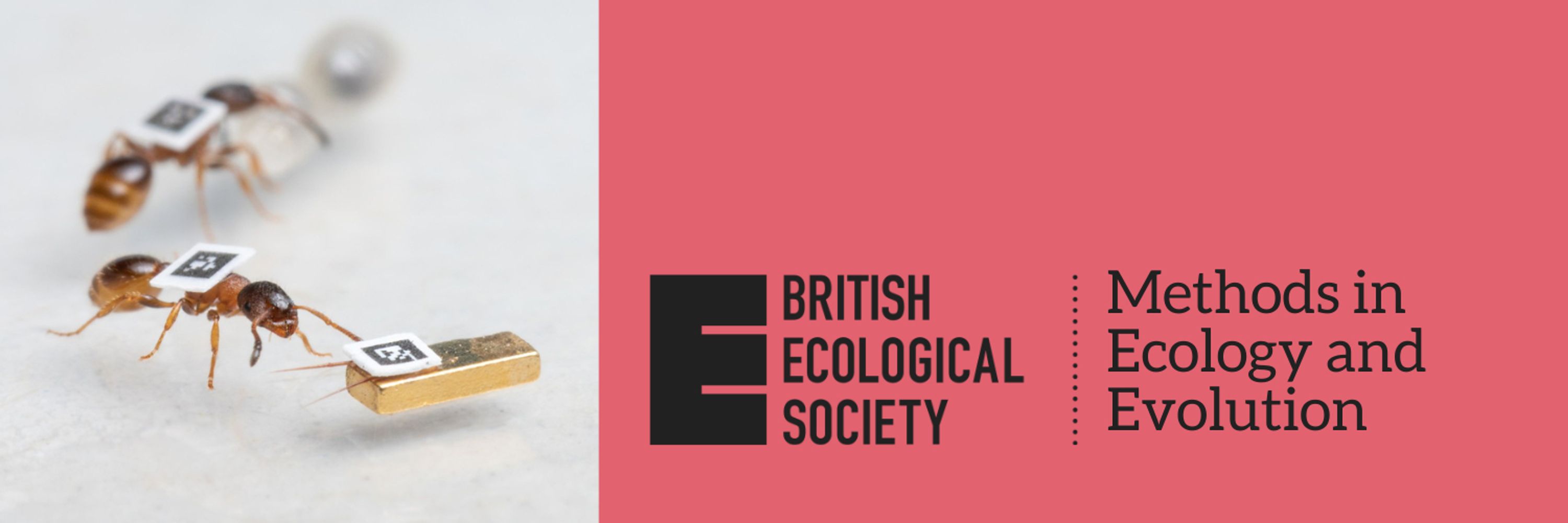 Methods in Ecology and Evolution