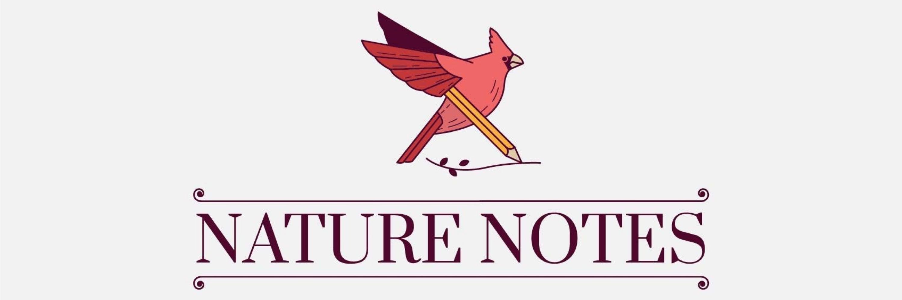 Nature Notes by Justin