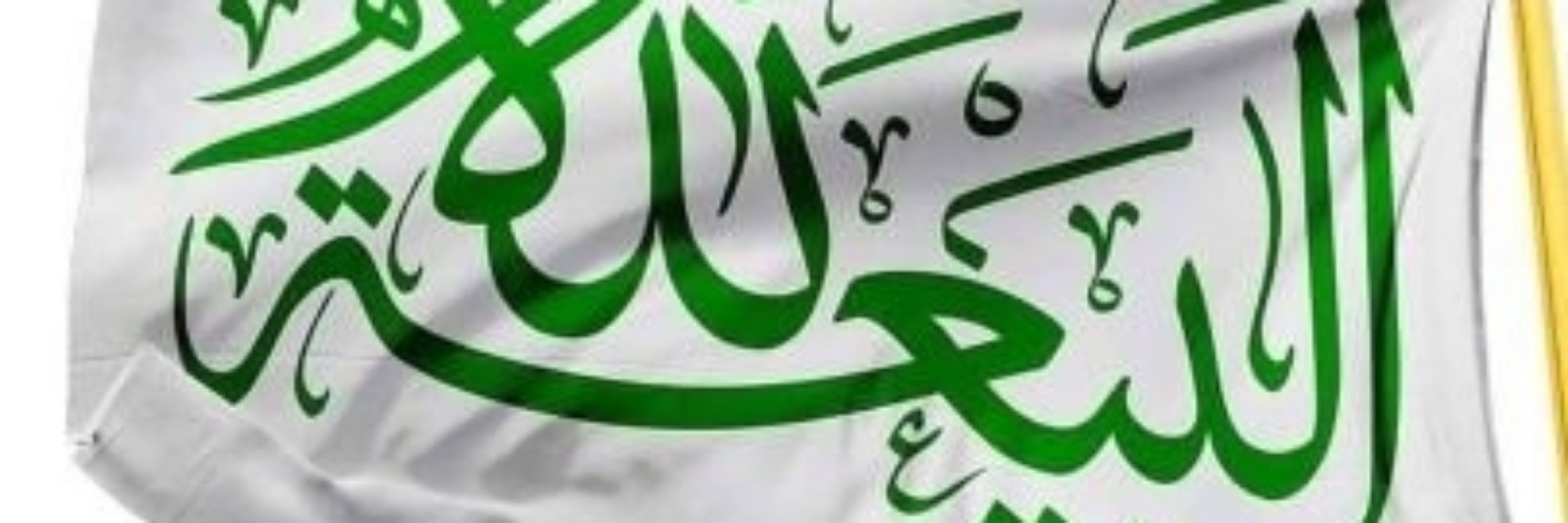 أحمد التميمي