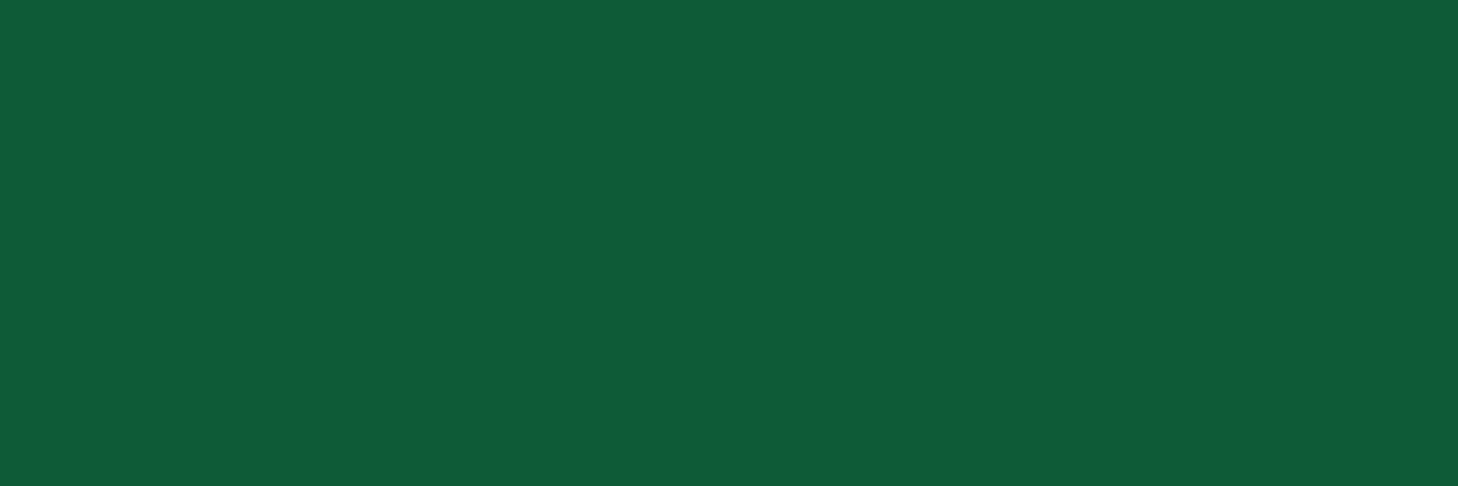 Research Software Alliance