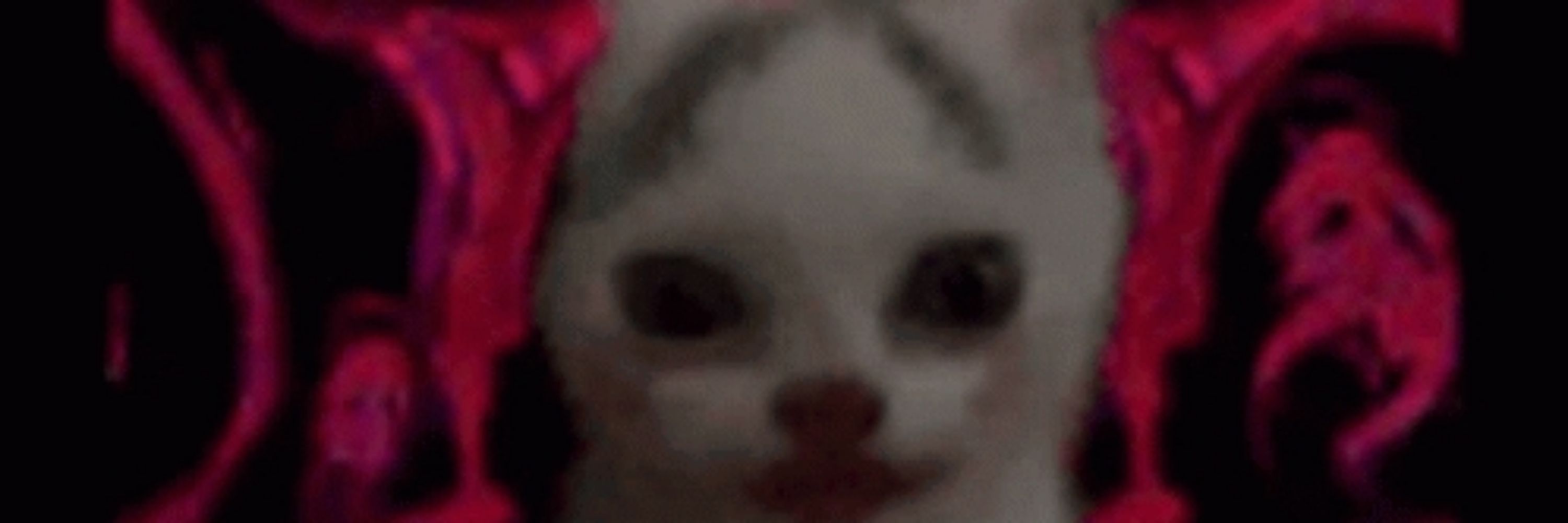 Mimikwott