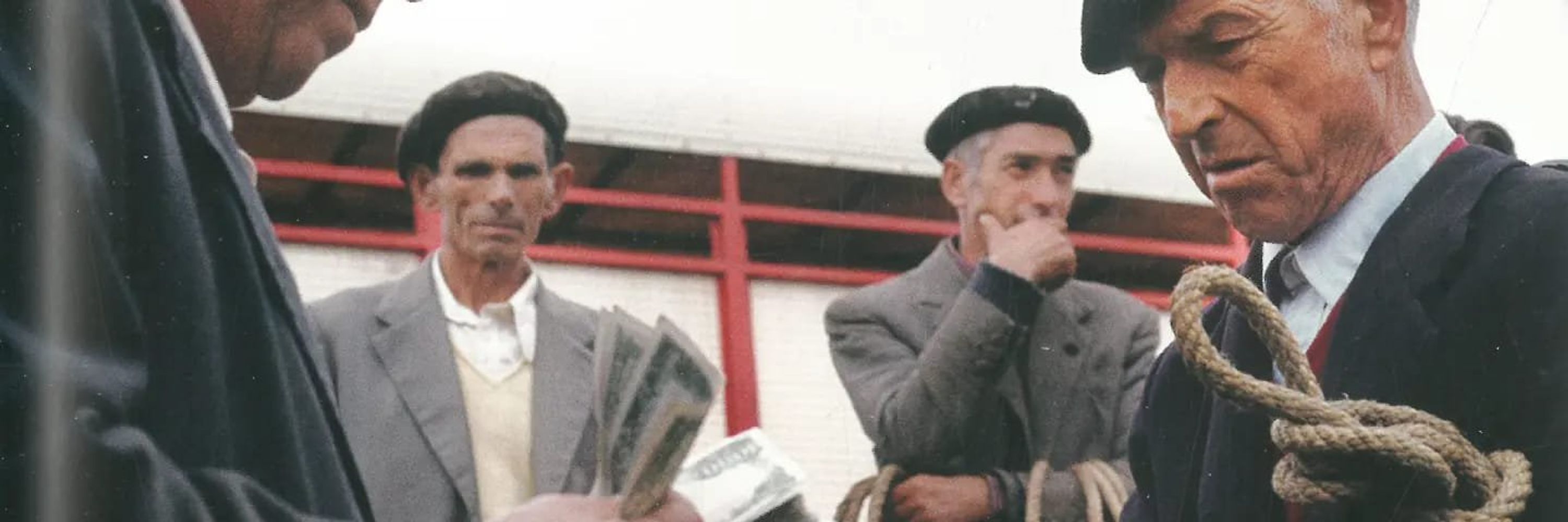 Bruno Esperante
