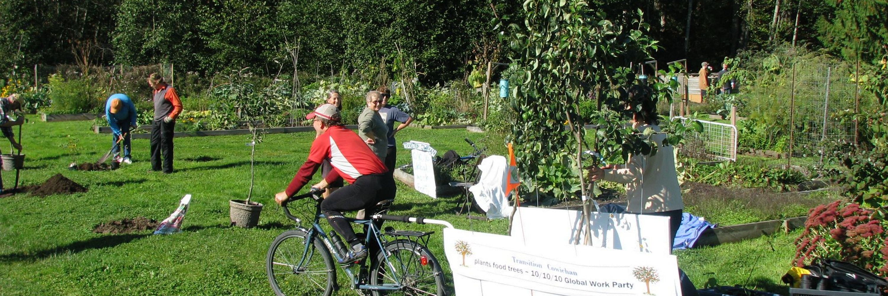 Transition Cowichan
