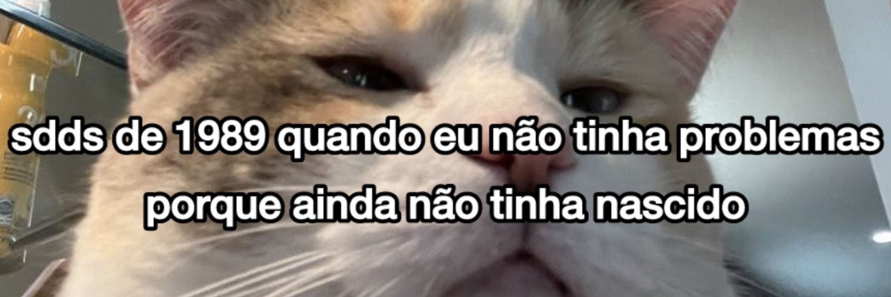 bruna de pipe 